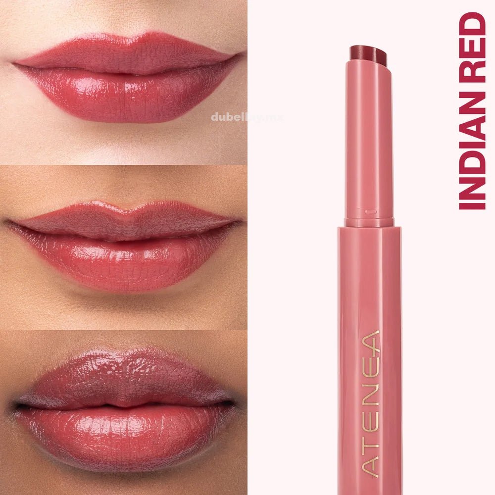 Labial en Stick Sublime color_Indian Red