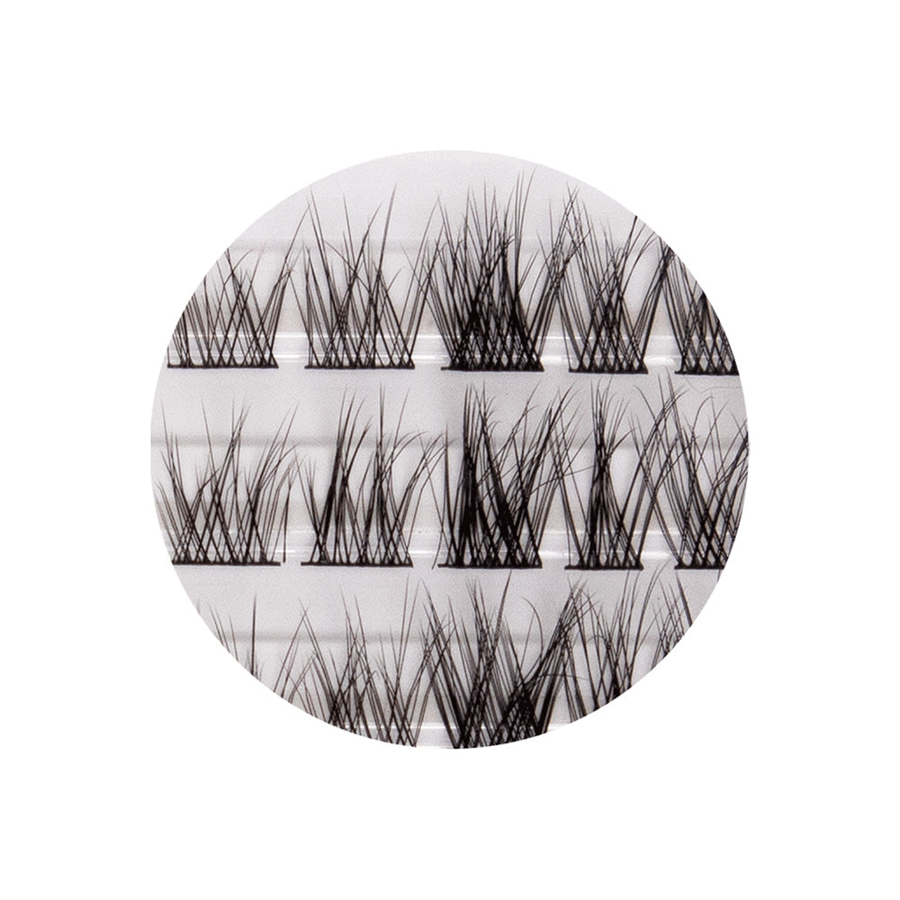 Pestaña Cluster Collection 3D