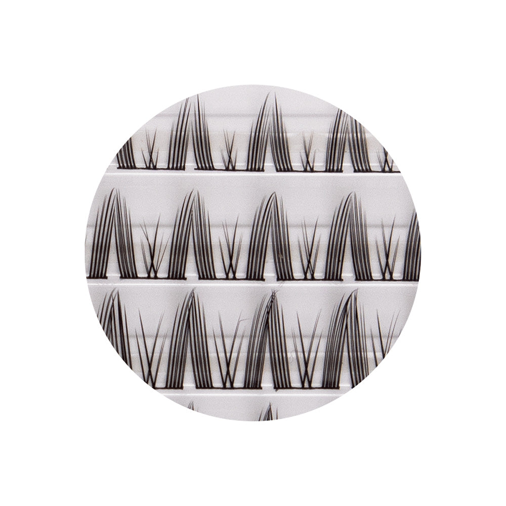 Pestaña Cluster Collection 3D