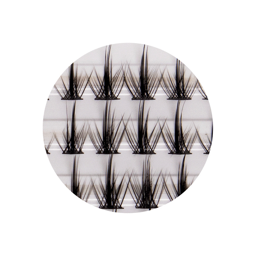 Pestaña Cluster Collection 3D