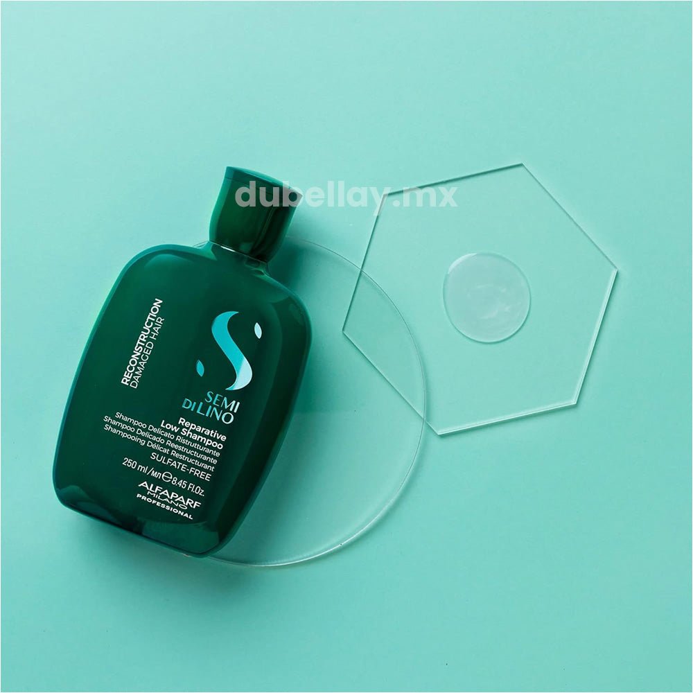 Shampoo Reestructurante Semi Di Lino Shampoo Reestructurante Semi Di Lino