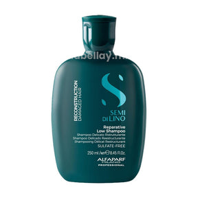 Shampoo Reestructurante Semi Di Lino Shampoo Reestructurante Semi Di Lino