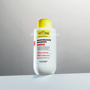 Shampoo Maintenance Color Care Shampoo Maintenance Color Care