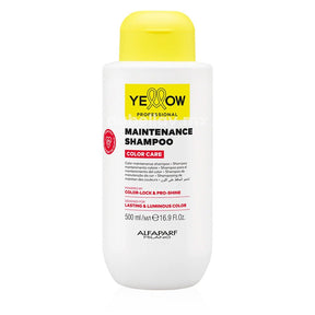 Shampoo Maintenance Color Care Shampoo Maintenance Color Care