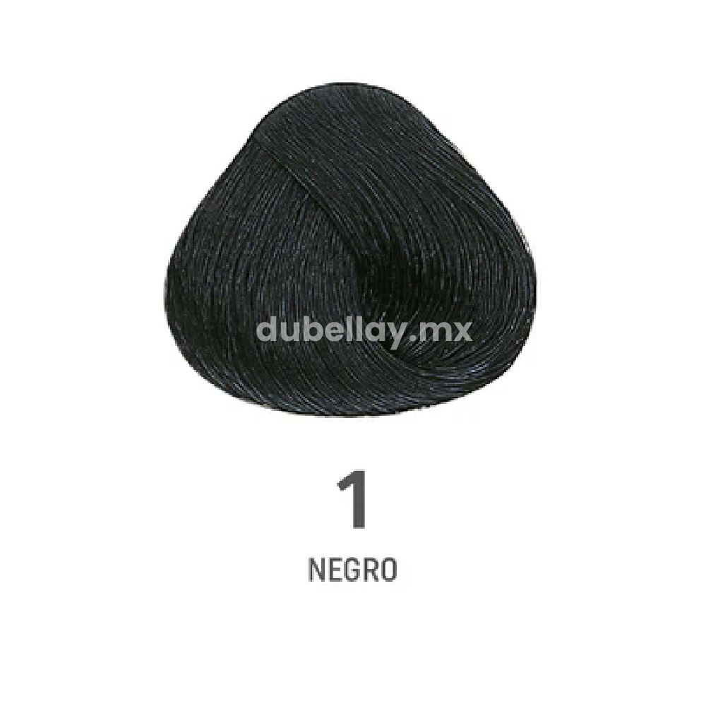 #color_1 Negro
