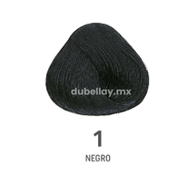 #color_1 Negro