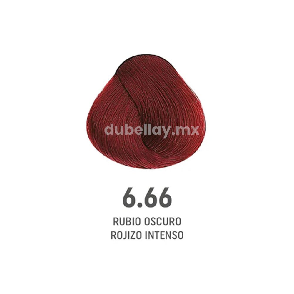 Tinte Color Amore color_6.66 Rubio Oscuro Rojizo Intenso