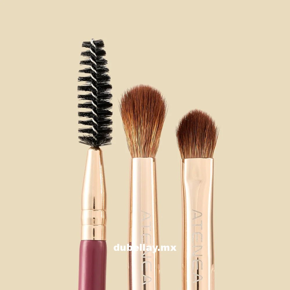 Set de Brochas Para Cejas y Ojos