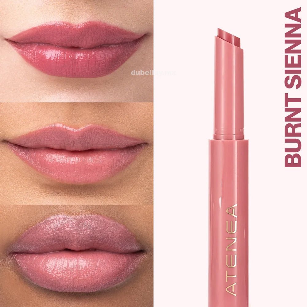 Labial en Stick Sublime color_Burnt Sienna