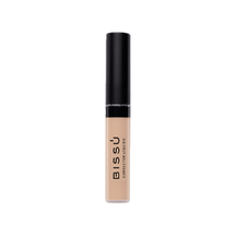 Corrector Líquido 9g color_04 Polvorón