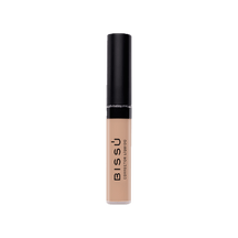Corrector Líquido 9g color_06 Jengibre