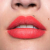 Delineador de Labios color_01 Adiction