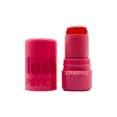 Rubor Jelly color_02