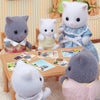 Familia Gato Persa