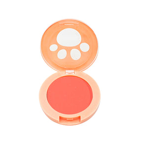 Rubor Blusher